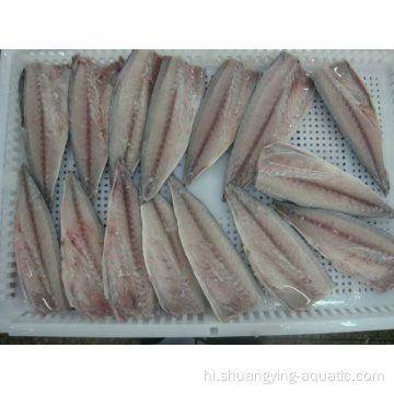 वैक्यूम पैक में जमे हुए मैकेरल मछली पट्टिका बोनलेस